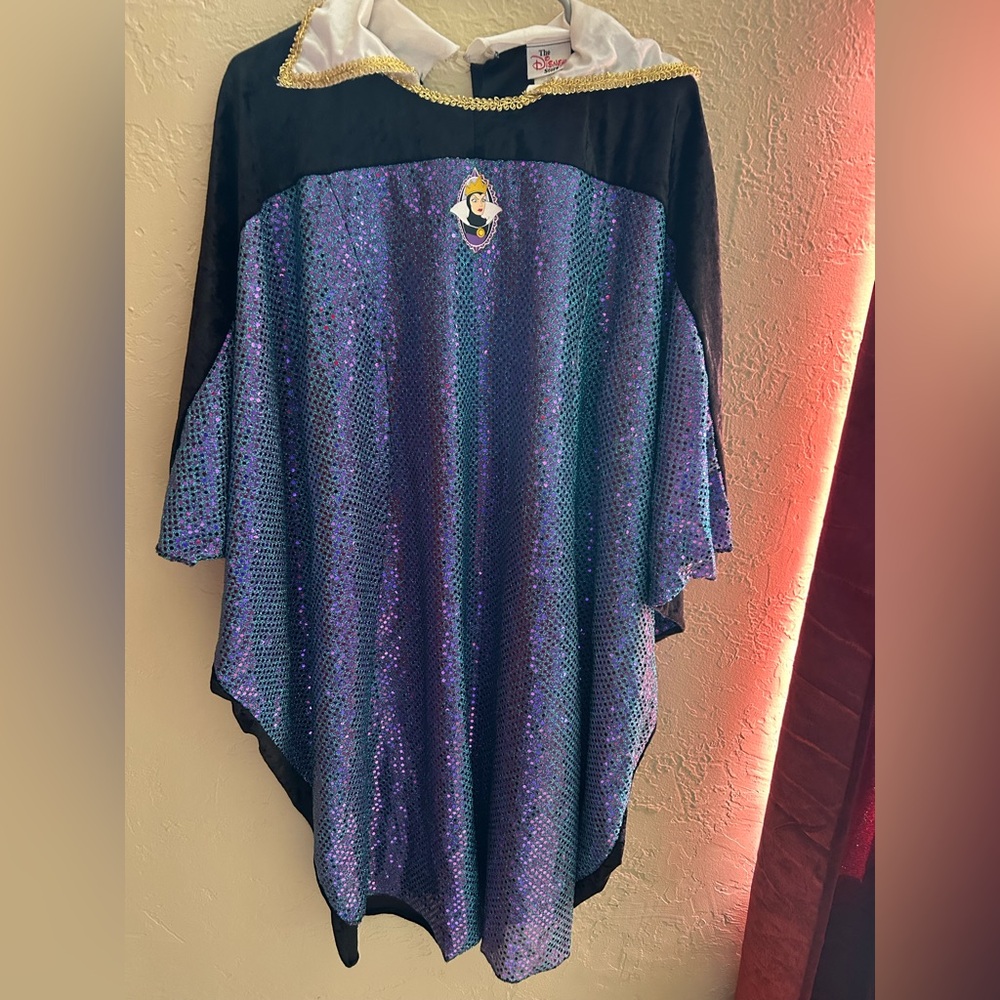 Vintage Disney Wicked Queen Costume